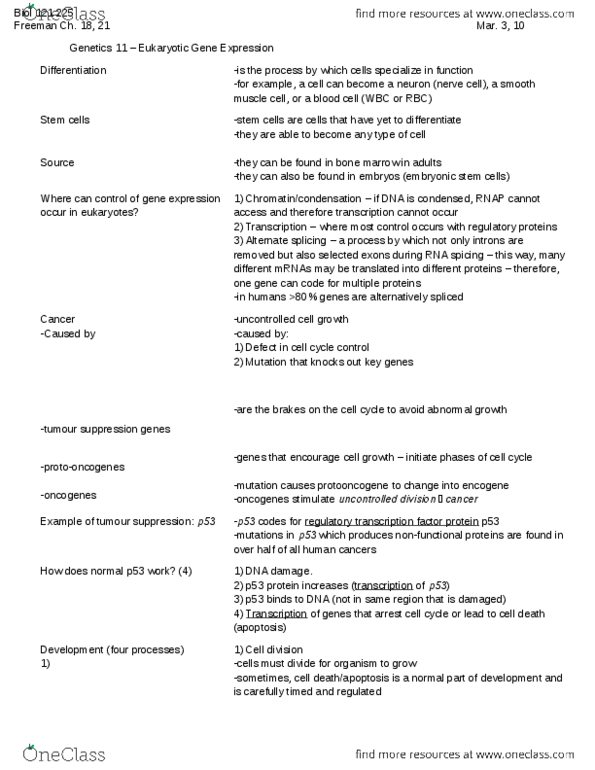 BIOL 121 Lecture Notes - Lecture 12: Embryonic Stem Cell, P53, Smooth Muscle Tissue thumbnail