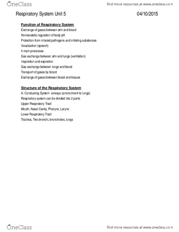 BIOL273 Lecture Notes - Lecture 5: Trachea, Bronchiole, Asthma thumbnail