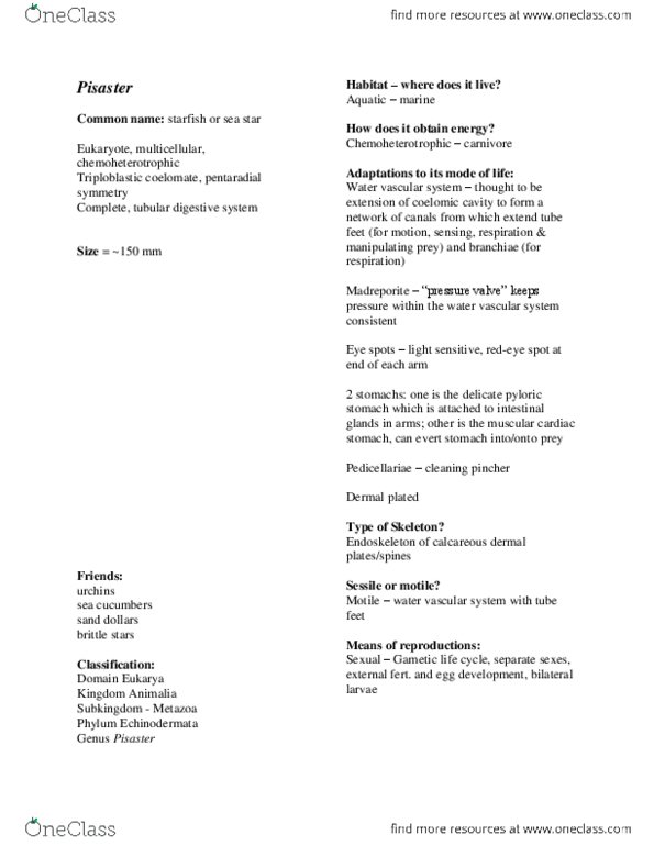 BIOL 121 Lecture Notes - Lecture 24: Pylorus, Coelom, Chemotroph thumbnail