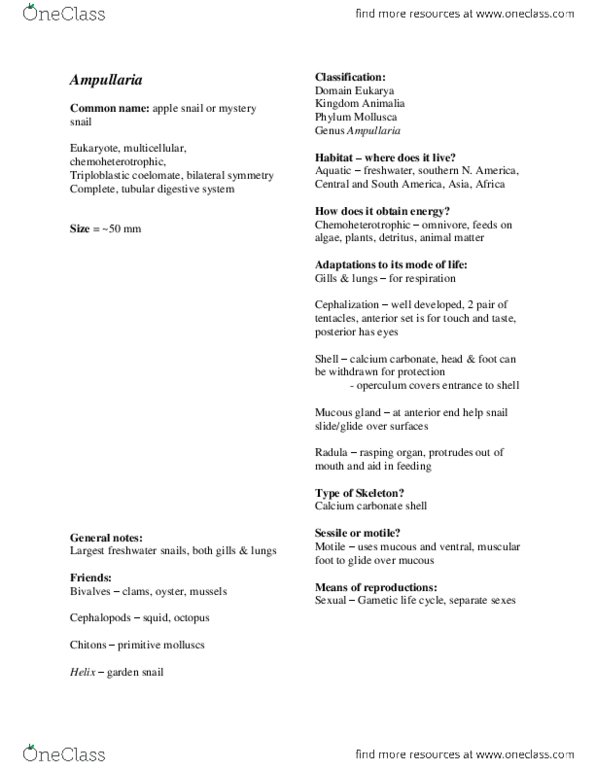 BIOL 121 Lecture Notes - Lecture 22: Omnivore, Motility, Symmetry In Biology thumbnail