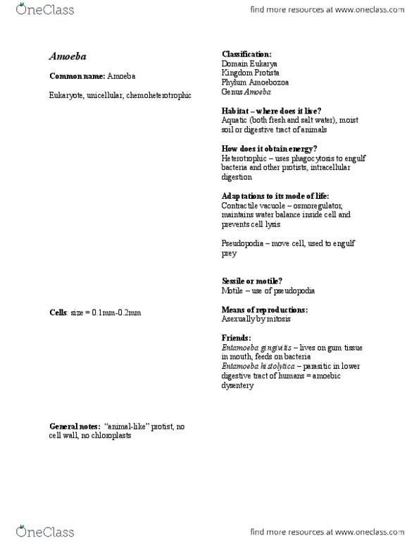 BIOL 121 Lecture Notes - Lecture 4: Mitosis, Entamoeba, Amoebozoa thumbnail