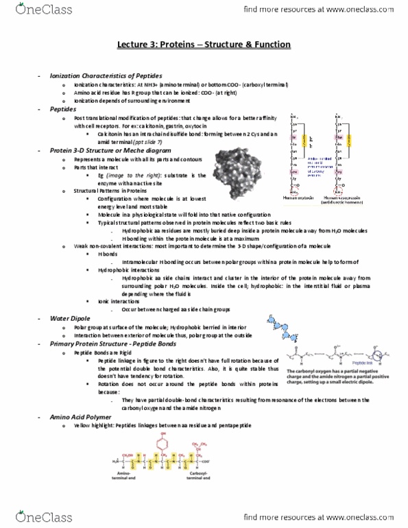 NUR1 200 Lecture Notes - Lecture 3: Mutation, Extracellular Fluid, Heme thumbnail