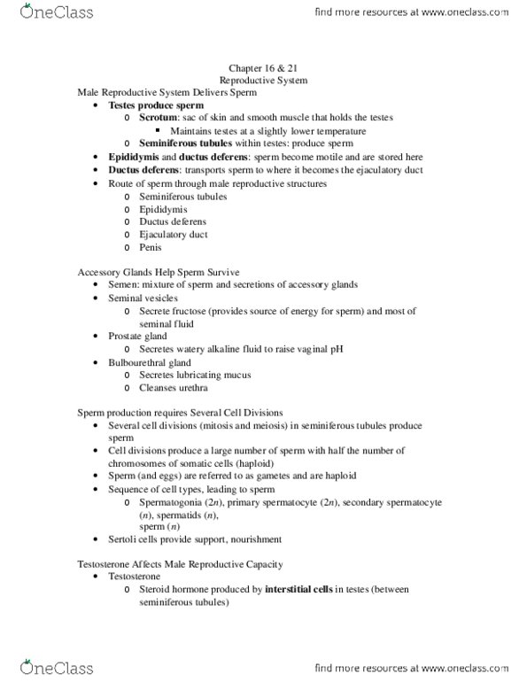 BSC 109 Lecture Notes - Lecture 16: Ovulation, Oviduct, Etonogestrel thumbnail