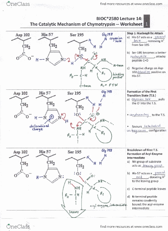 document preview image