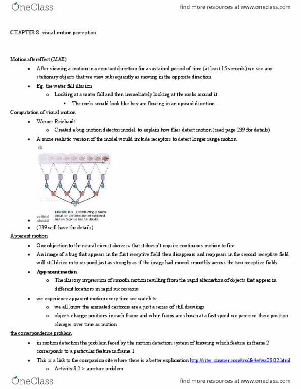 PSYB51H3 Lecture Notes - Lecture 11: Motion Aftereffect, Receptive Field, Magnocellular Cell thumbnail