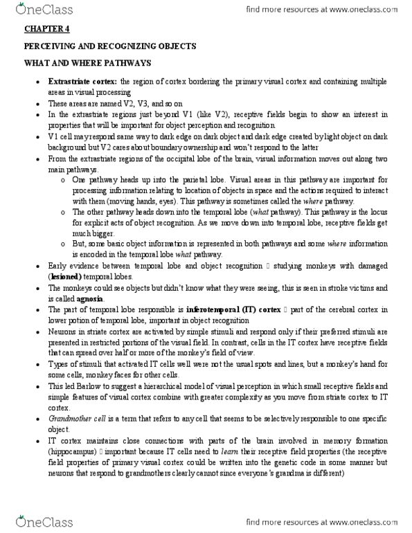 PSYB51H3 Lecture Notes - Lecture 15: Illusory Contours, Extrastriate Cortex, Visual Cortex thumbnail