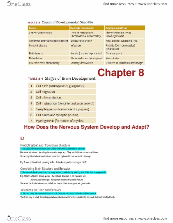 PSYB65H3 Chapter Notes - Chapter 8: Netrin, Gliogenesis, Apoptosis thumbnail