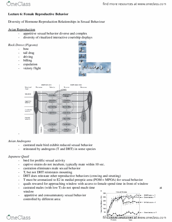 Psychology 3226A/B Lecture Notes - Lecture 6: Estrous Cycle, Ovulation, Libido thumbnail