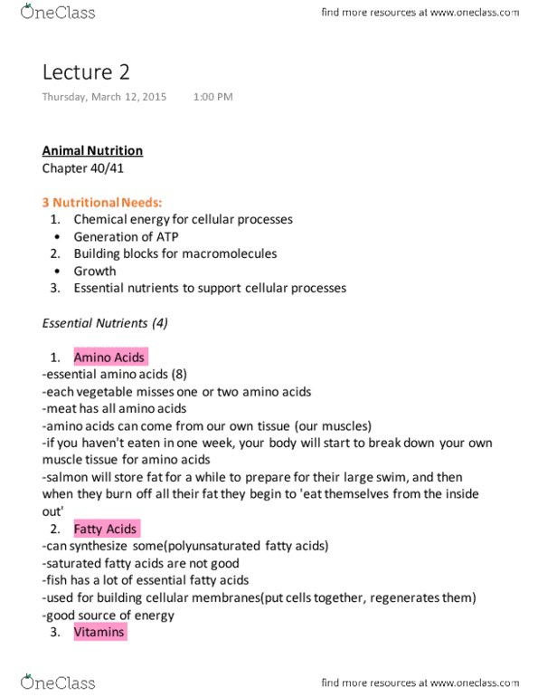 BIOL 1011 Lecture Notes - Lecture 2: Gastric Acid, Small Intestine, Cecum thumbnail