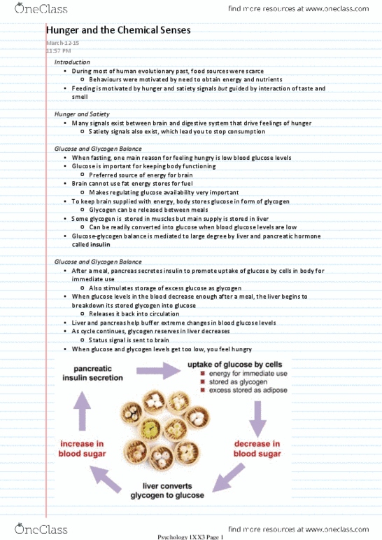 PSYCH 1XX3 Lecture Notes - Lecture 9: Amygdala, Taste, Frontal Lobe thumbnail