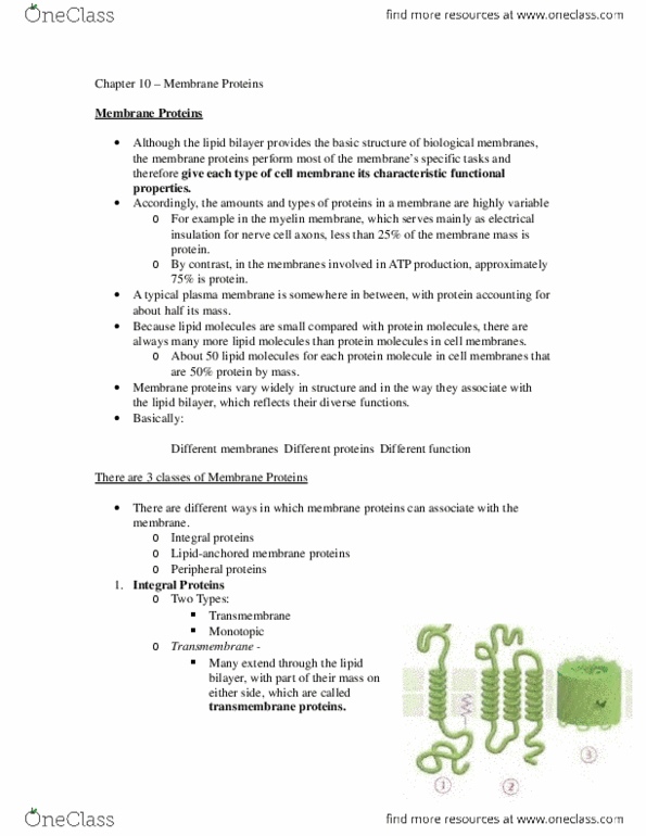 BIOL 2021 Lecture Notes - Lecture 3: Glycolipid, Bacteriorhodopsin, Amphiphile thumbnail