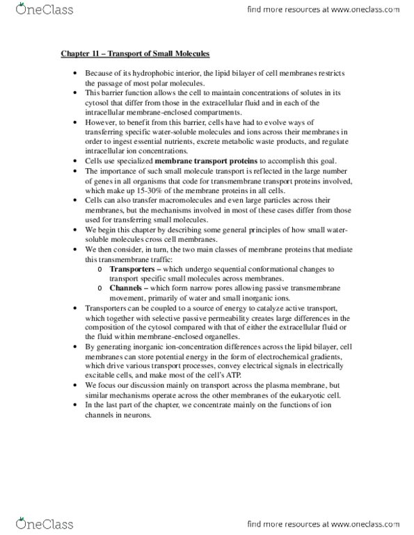 BIOL 2021 Lecture Notes - Lecture 4: Antiporter, Symporter, Chloroquine thumbnail