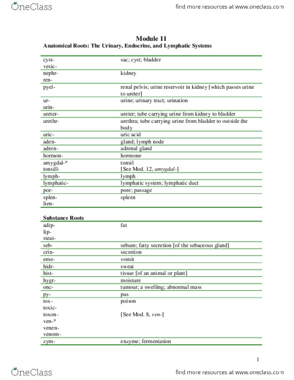 CLST 301 Lecture 11: Vocab Mod 11.pdf thumbnail