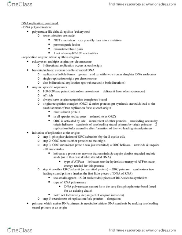 BSCI-1510 Lecture Notes - Lecture 27: Deoxyribose, Dna Ligase, Okazaki Fragments thumbnail