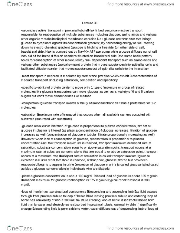 PSL201Y1 Lecture Notes - Lecture 31: Renal Glucose Reabsorption, Distal Convoluted Tubule, Proximal Tubule thumbnail