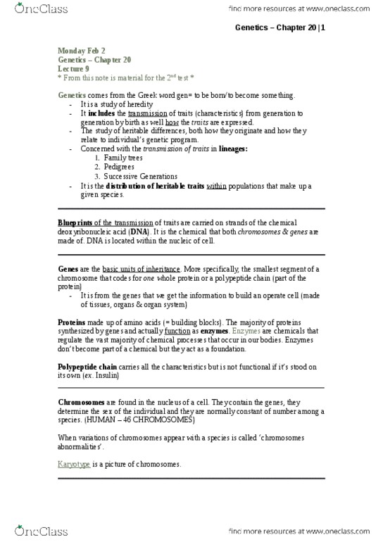 NATS 1675 Lecture Notes - Lecture 13: Karyotype, Peptide, Mutation thumbnail