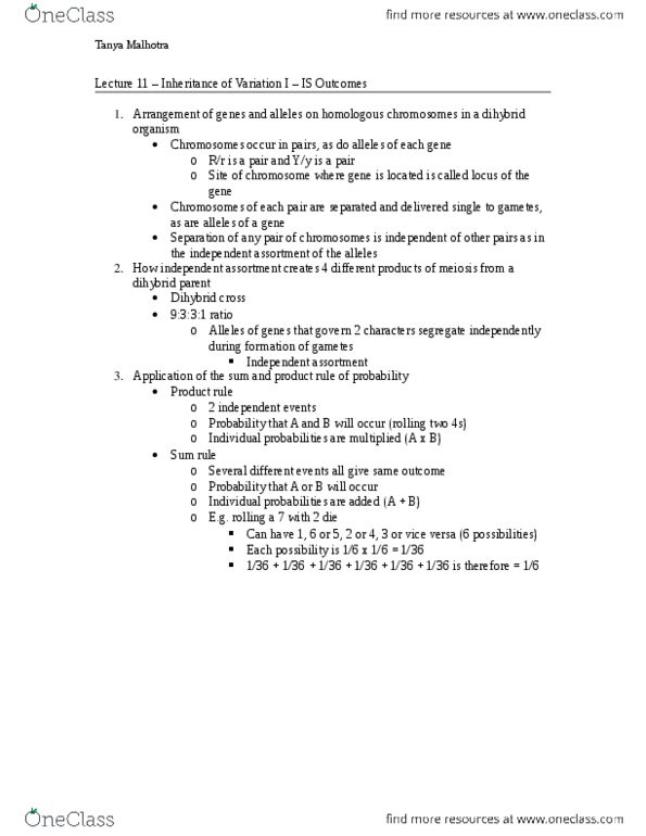 Biology 1001A Lecture Notes - Lecture 11: Chromosome, Meiosis, Dihybrid Cross thumbnail