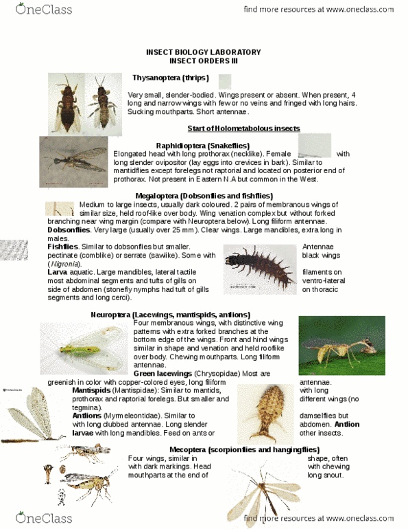 ENTO 330 Quiz: INSECT BIOLOGY LABORATORY 1.docx - OneClass