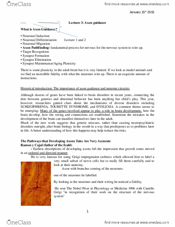 NEUR 310 Lecture Notes - Lecture 3: Cytochalasin, Midbrain Tectum, Fasciculation thumbnail