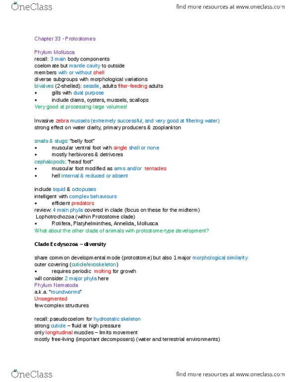 BLG 144 Lecture Notes - Lecture 9: Hydrostatic Skeleton, Protostome, Deuterostome thumbnail