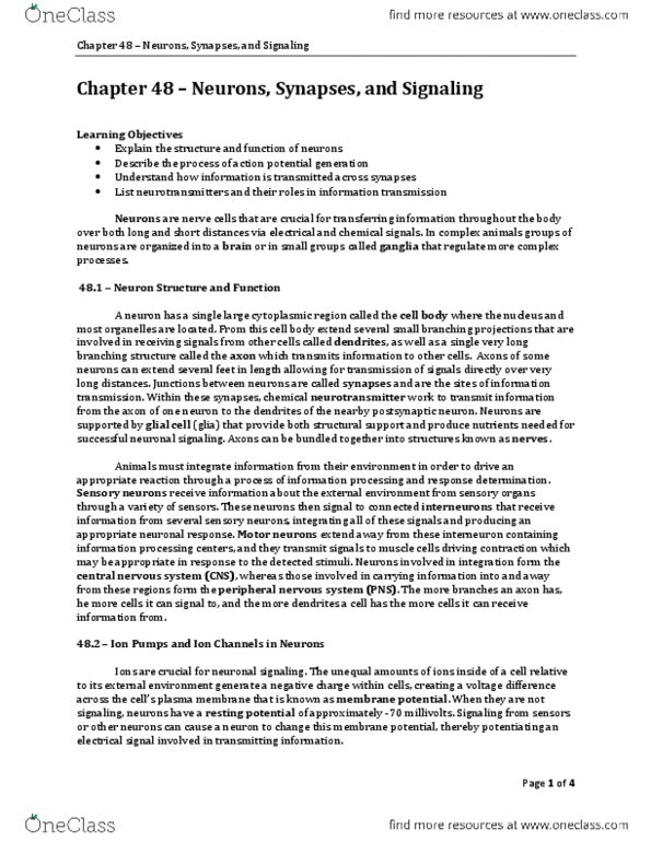 CAS BI 108 Chapter Notes - Chapter 48: Central Nervous System, Chemical Energy, Peripheral Nervous System thumbnail