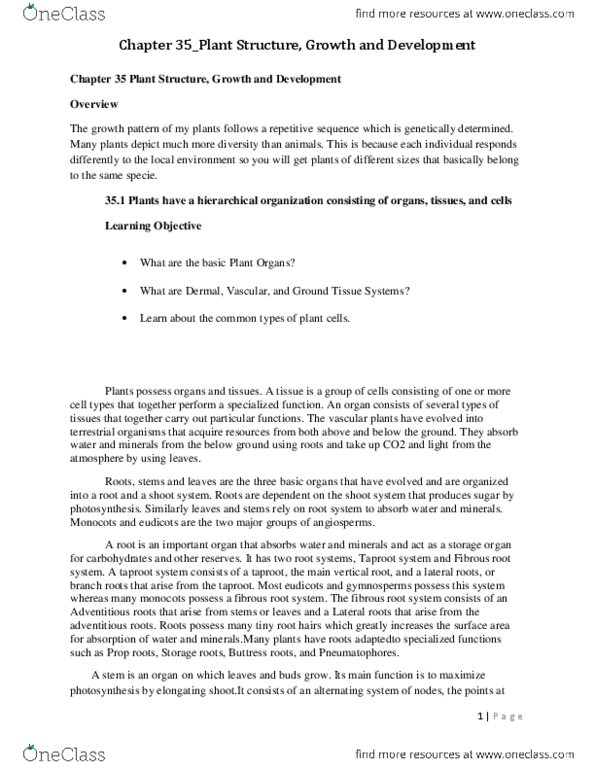 CAS BI 108 Chapter Notes - Chapter 35: Fibrous Root System, Vascular Cambium, Axillary Bud thumbnail