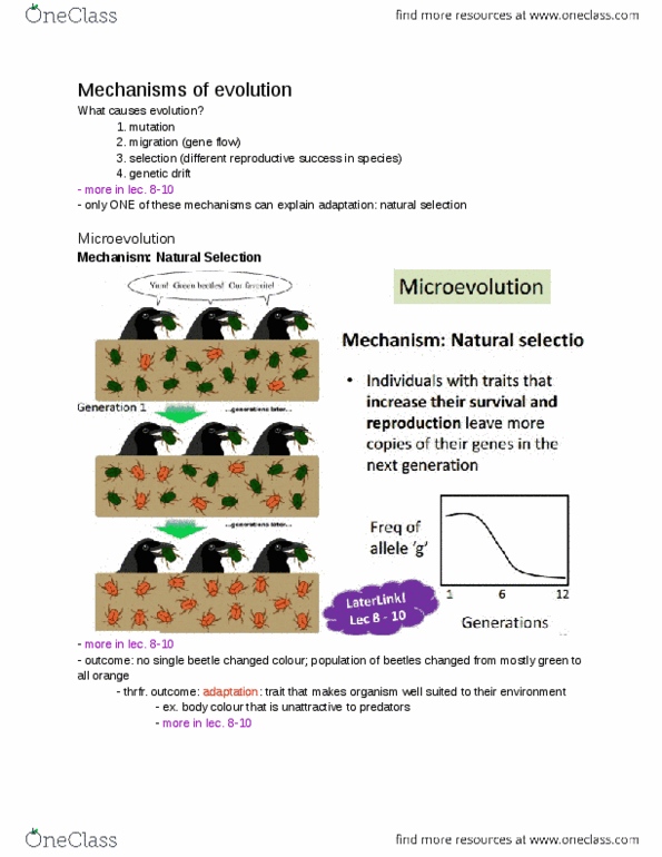 BIOA01H3 Lecture Notes - Lecture 4: Animal Testing, Genetic Drift, Microevolution thumbnail