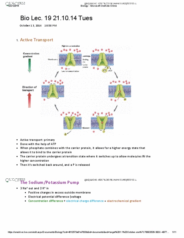 BIOA01H3 Lecture Notes - Lecture 19: Active Transport, Electrochemical Gradient, Autocrine Signalling thumbnail