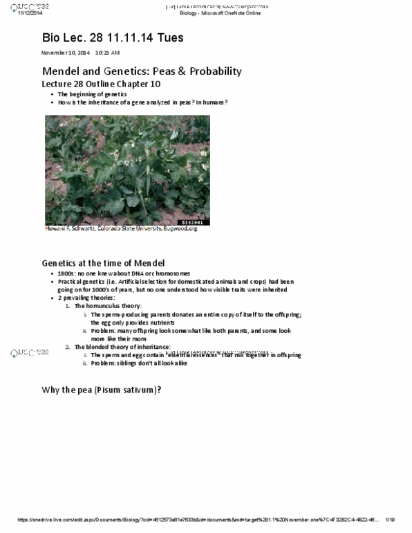 BIOA01H3 Lecture Notes - Lecture 28: Microsoft Onenote, Zygosity, Gamete thumbnail