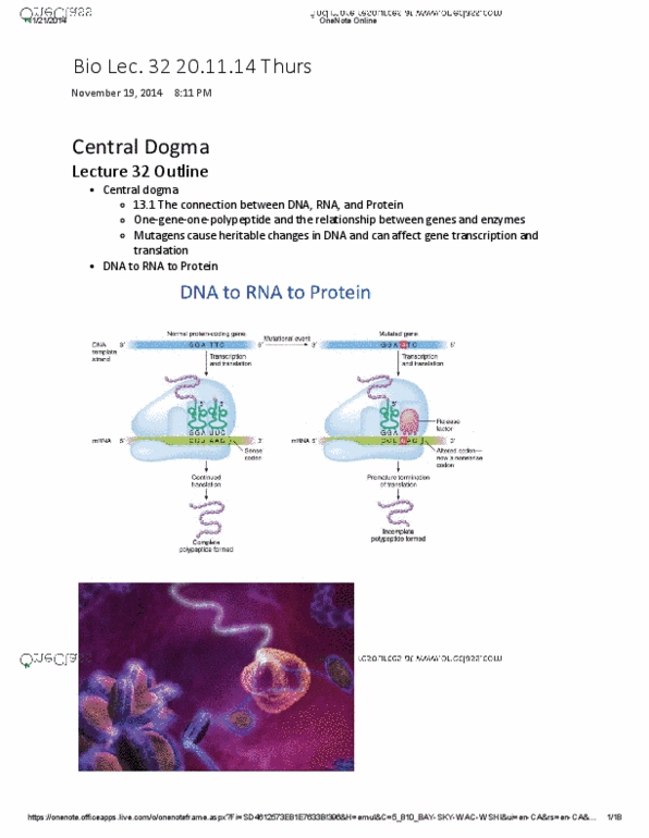 BIOA01H3 Lecture Notes - Lecture 32: Peptide, Polysome, Citrulline thumbnail