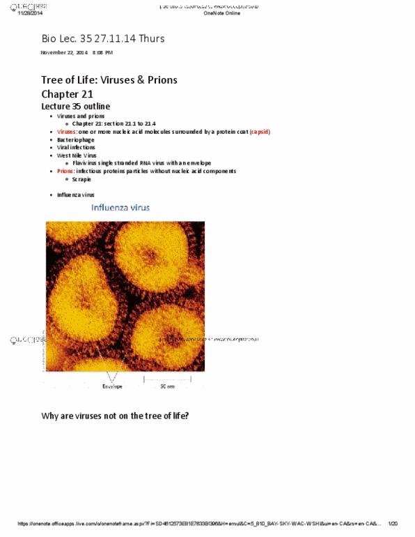 BIOA01H3 Lecture Notes - Lecture 35: Prophage, Virus, Scrapie thumbnail