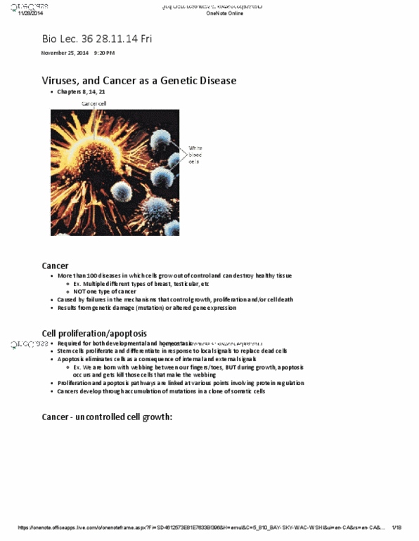 BIOA01H3 Lecture Notes - Lecture 36: Apoptosis, Metastasis, Interleukin 8 thumbnail