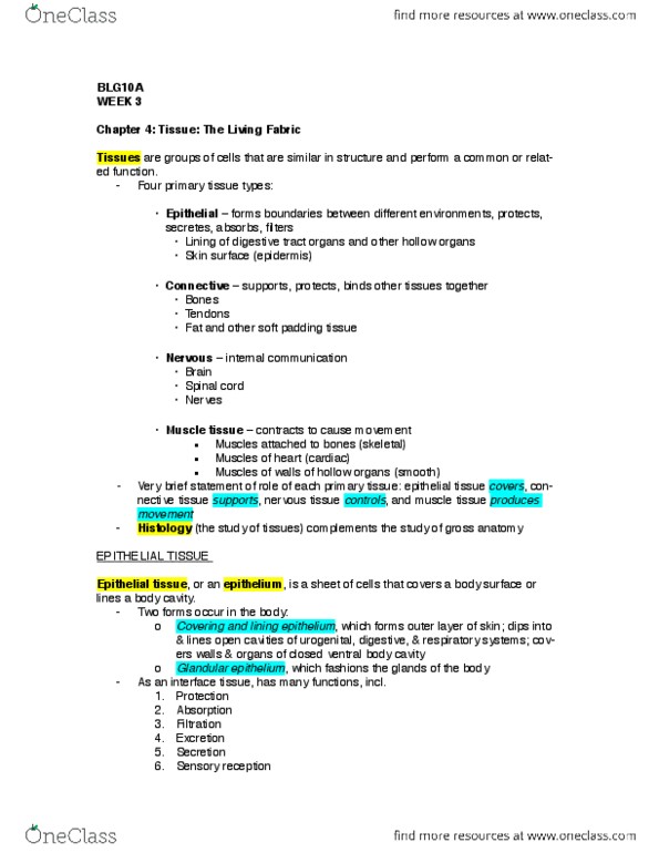 BLG 10A/B Chapter 4: BLG10A WEEK 3 TEXTBOOK NOTES.pdf thumbnail