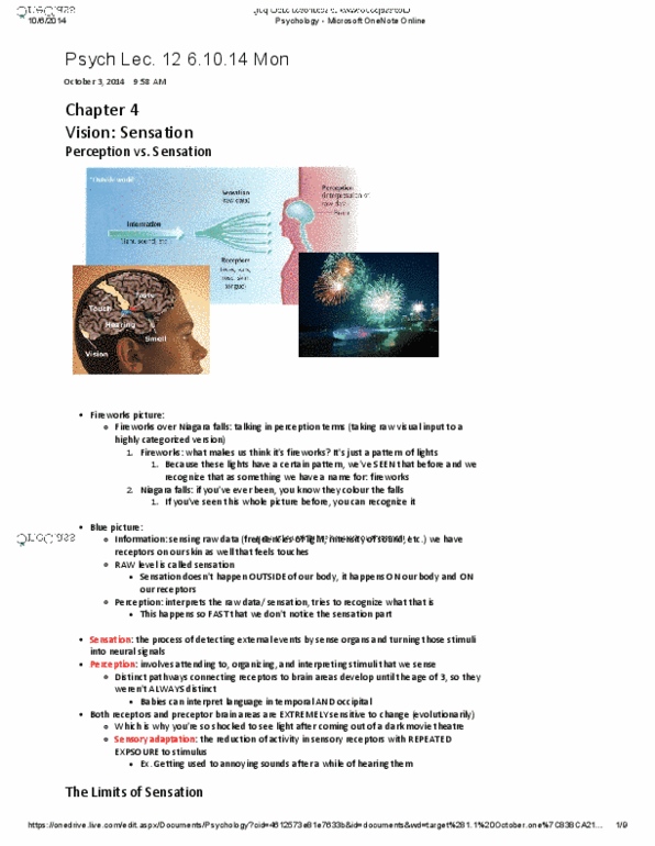 PSYA01H3 Lecture Notes - Lecture 12: Microsoft Onenote, The Blind Spot, Vitreous Body thumbnail