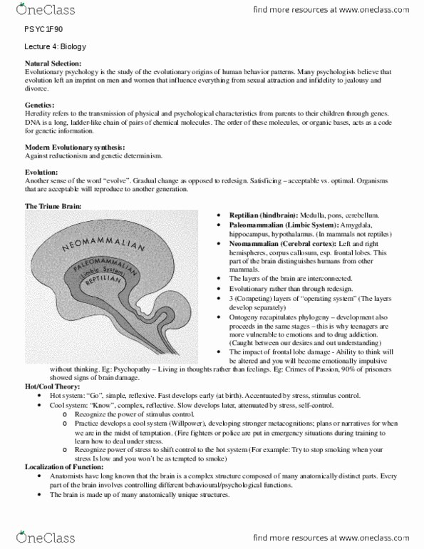 PSYC 1F25 Lecture Notes - Lecture 2: Hindbrain, Ct Scan, Polygraph thumbnail
