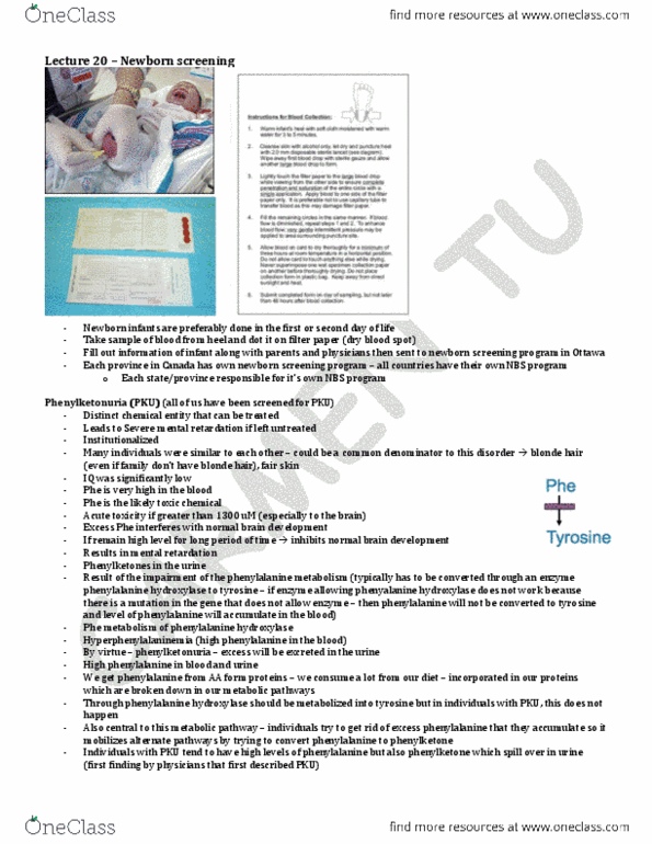 LMP299Y1 Lecture Notes - Lecture 20: Phenylalanine Hydroxylase, Newborn Screening, Phenylalanine thumbnail