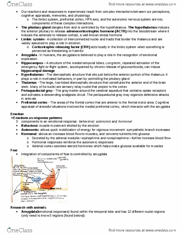 PSYC 3250 Chapter Notes - Chapter 11: Ventromedial Prefrontal Cortex, Periaqueductal Gray, Medial Vestibular Nucleus thumbnail