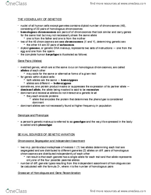 BLG 10A/B Chapter Notes - Chapter 29: Mendelian Inheritance, Punnett Square, Y Chromosome thumbnail