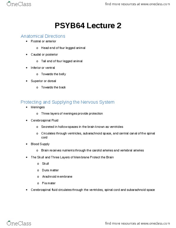 PSYB64H3 Lecture Notes - Lecture 2: Central Nervous System, Lumbar Vertebrae, Pia Mater thumbnail