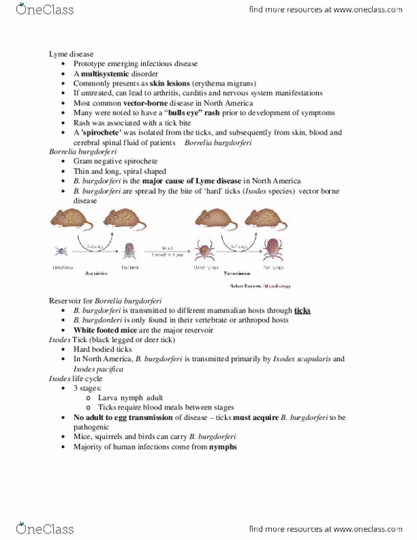 Microbiology and Immunology 2500A/B Lecture Notes - Lecture 7: Axilla thumbnail