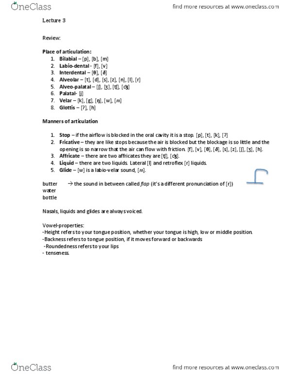 LINA01H3 Lecture Notes - Lecture 3: Affricate Consonant, Roundedness, Fricative Consonant thumbnail