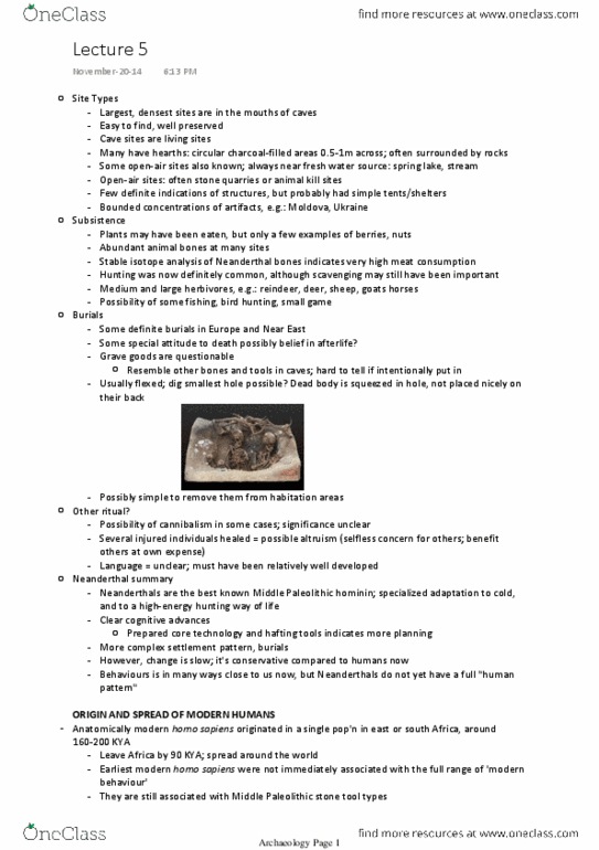ANT100Y1 Lecture Notes - Lecture 5: Homo Sapiens, Upper Paleolithic, Stone Tool thumbnail