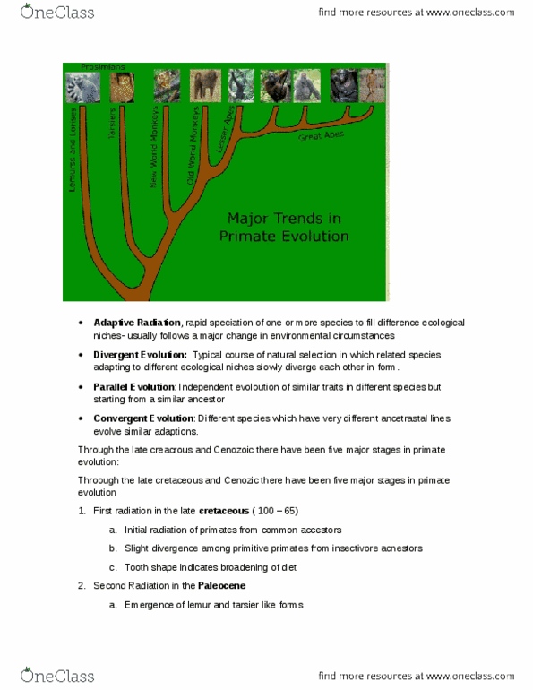 ARCH 131 Lecture Notes - Lecture 4: Faiyum Oasis, Oligocene, Omomyidae thumbnail