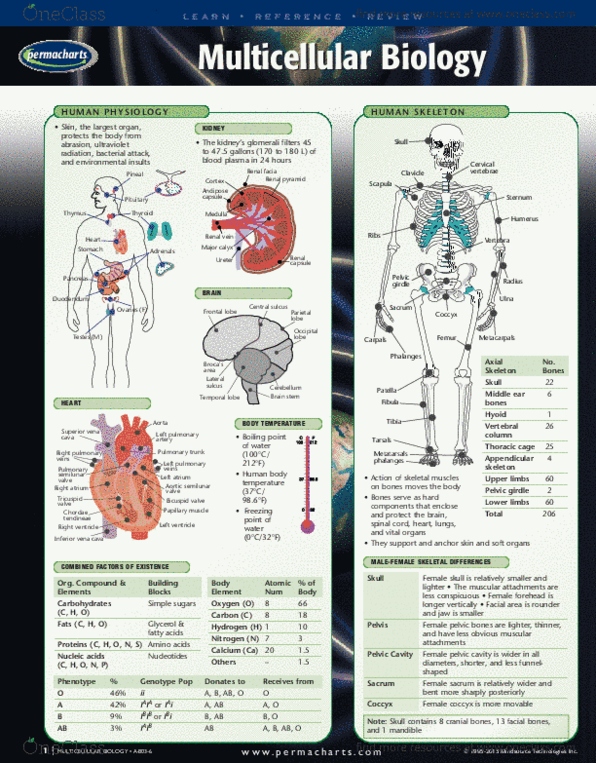 Multicellular Biology - Reference Guides thumbnail