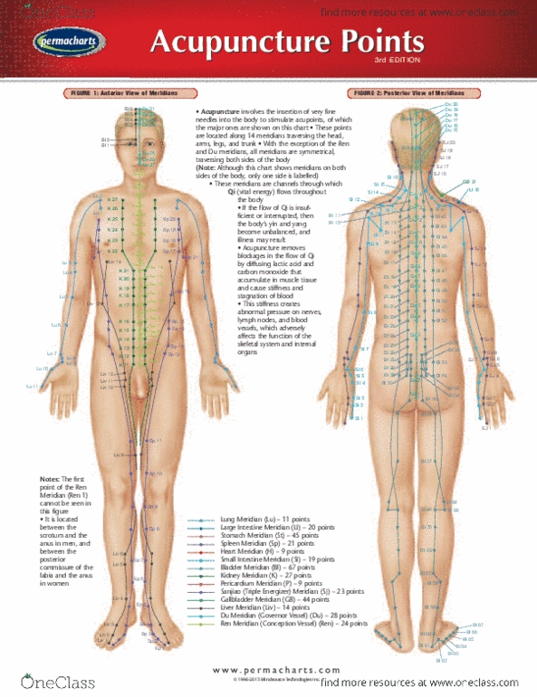 Permachart - Marketing Reference Guide: Acupuncture, Commissure, Gallbladder thumbnail