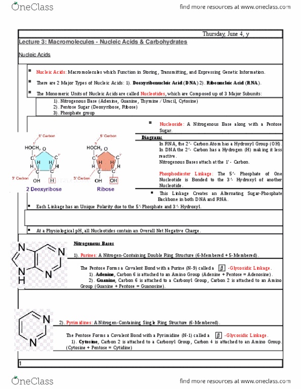 MBB 231 Lecture Notes - Lecture 3: Anomer, Haworth Projection, Threonine thumbnail