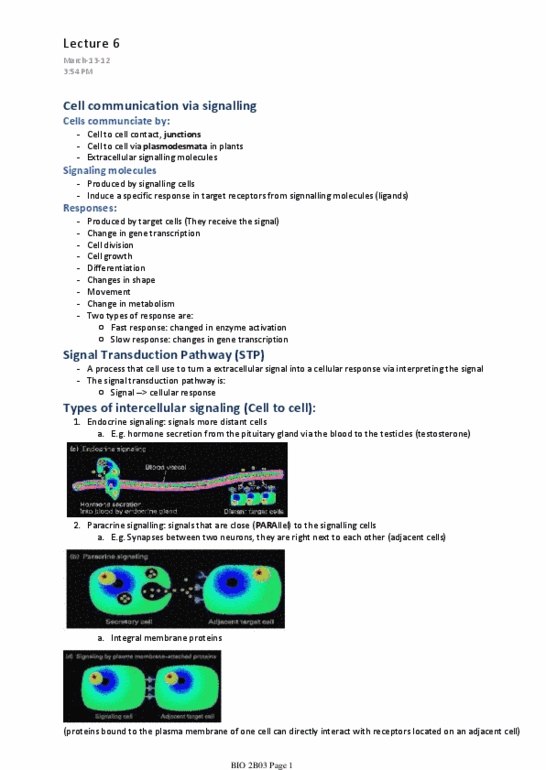 BIOLOGY 2B03 Lecture Notes - Lecture 6: Plasmodesma, Cytosol, Autocrine Signalling thumbnail