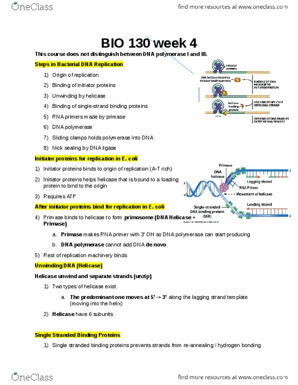 BIO130H1 Lecture Notes - Lecture 4: Reverse Transcriptase, Germ Cell, Neuroblastoma thumbnail