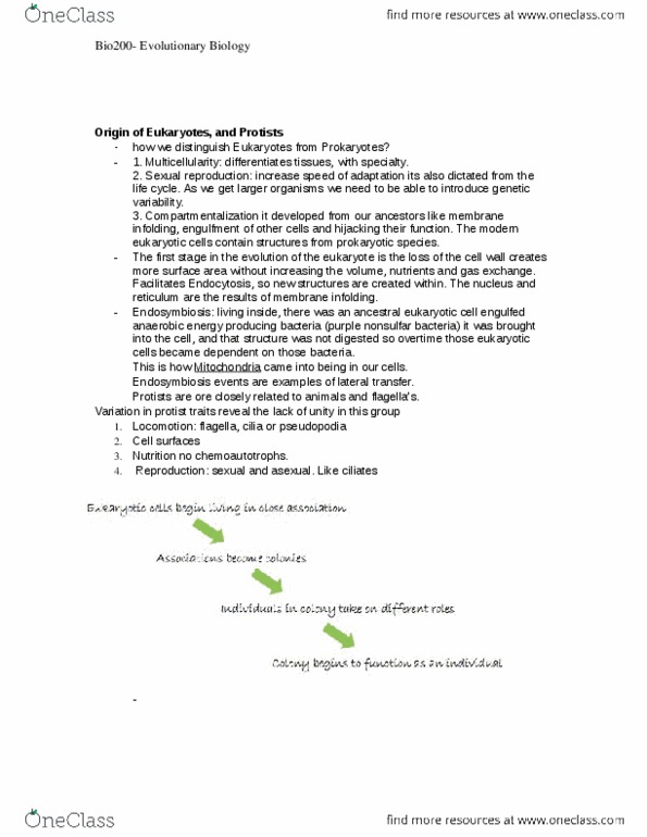 BIO 200 Lecture Notes - Lecture 13: Apicomplexa, Brown Algae, Foraminifera thumbnail