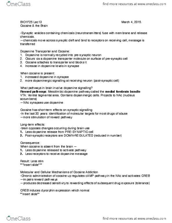 BIOL 1F25 Lecture Notes - Lecture 13: Operant Conditioning, Dynorphin, Cyclic Adenosine Monophosphate thumbnail